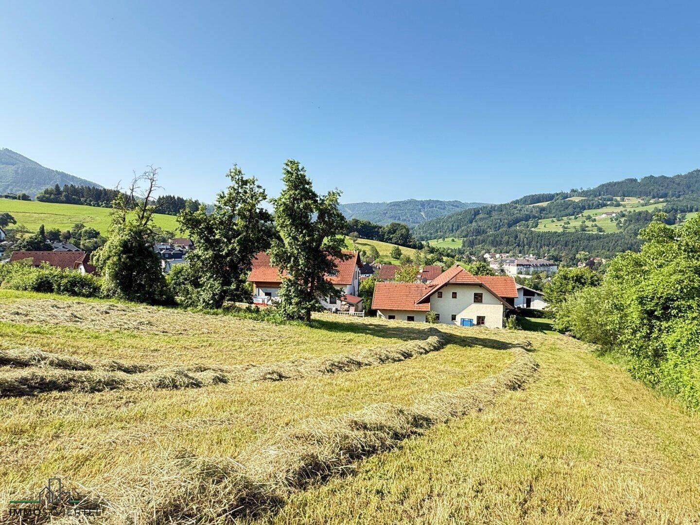 Idyllische ländliche Szenerie mit gemähtem Feld, Wohnhäusern und bewaldeten Hügeln im Hintergrund.