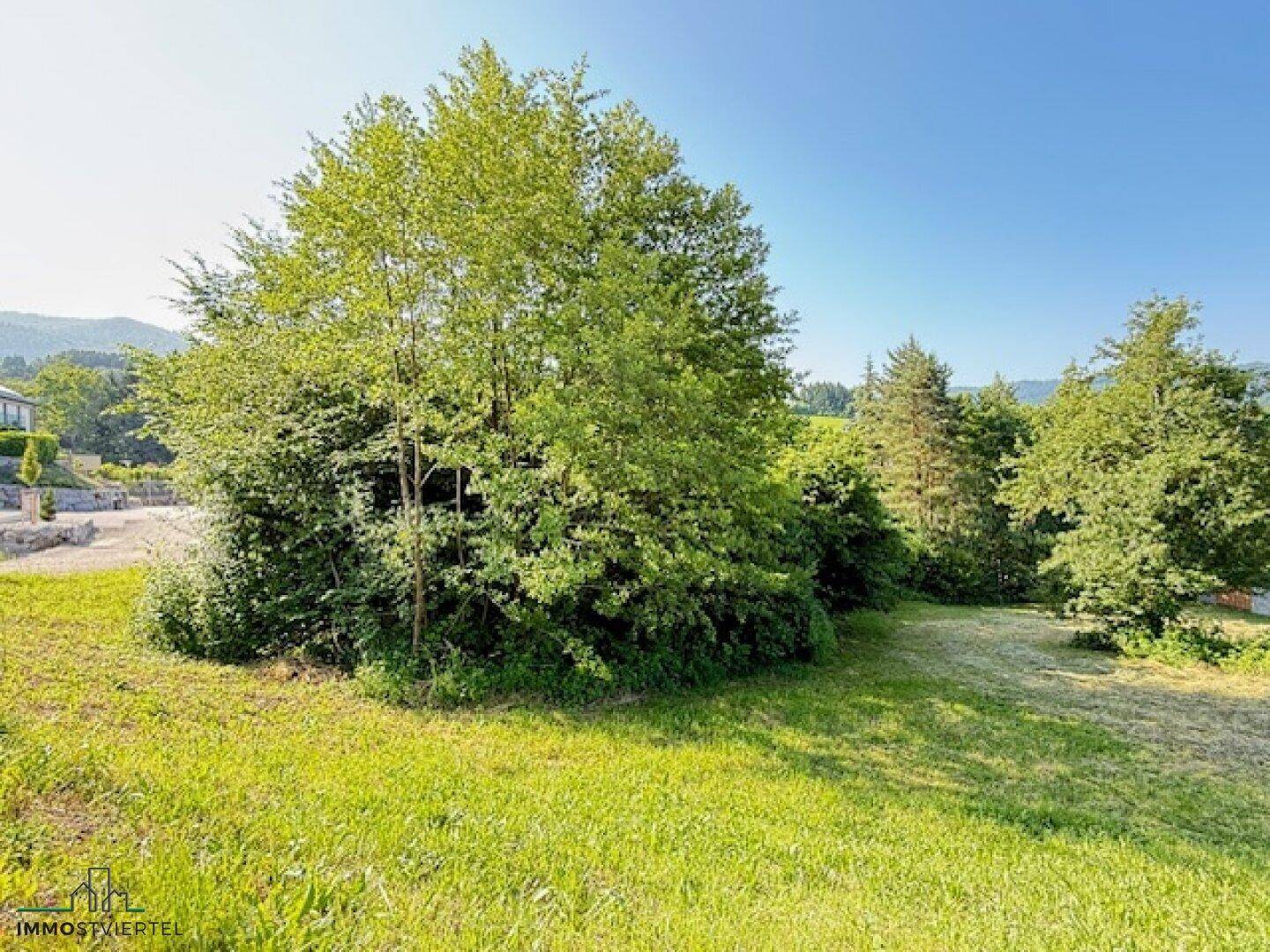 Weitläufige Grünfläche mit üppiger Vegetation und Blick auf die umliegende Hügellandschaft.