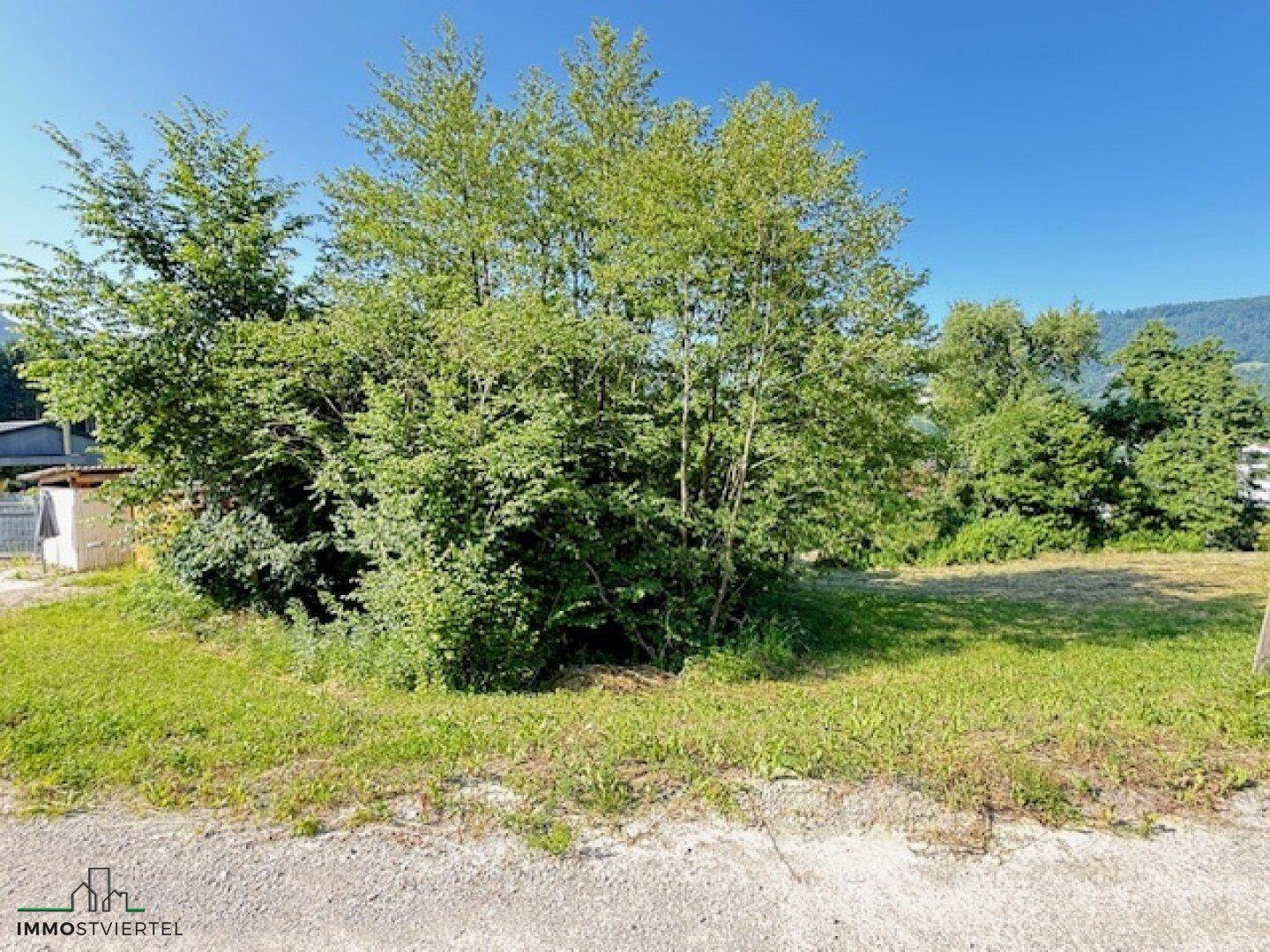 Naturbelassenes Grundstück mit Bäumen und Sträuchern, angrenzend an einen Schotterweg.