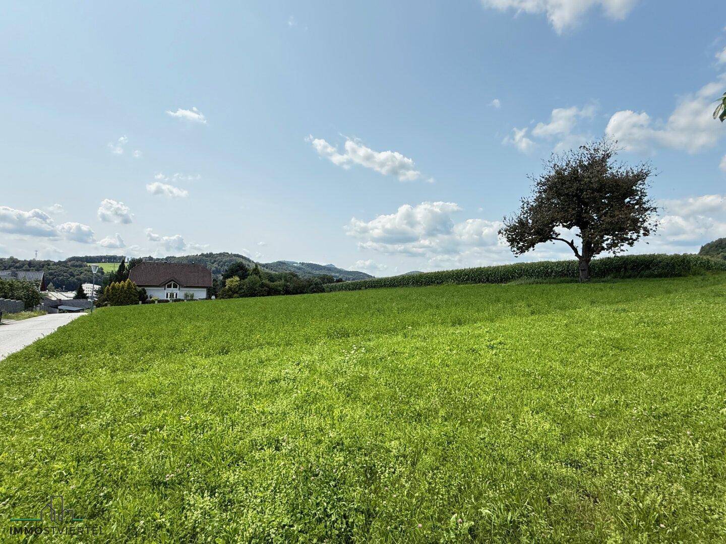 Weitläufiges grünes Feld unter blauem Himmel, mit Blick auf die sanften Hügel der Umgebung.