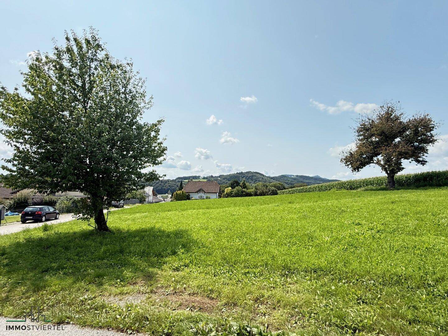 Grünes Grundstück mit zwei Bäumen am Rand, bietet einen weiten Blick auf die ländliche Umgebung.