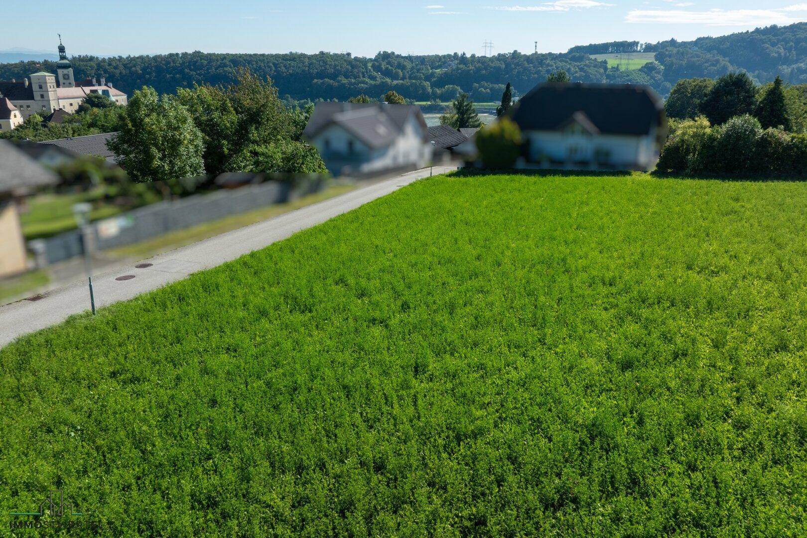 Weitläufiges grünes Grundstück mit Blick auf umliegende Häuser und die hügelige Landschaft.