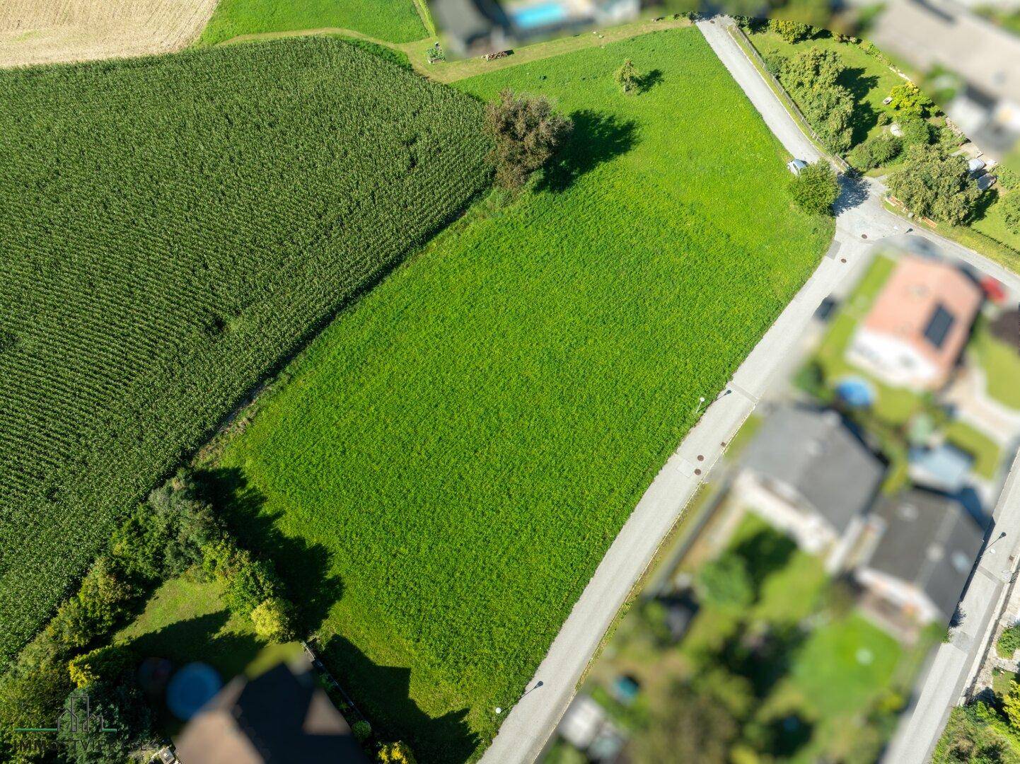 Vogelperspektive eines großen grünen Grundstücks, umgeben von Wohngebäuden und landwirtschaftlichen Flächen.