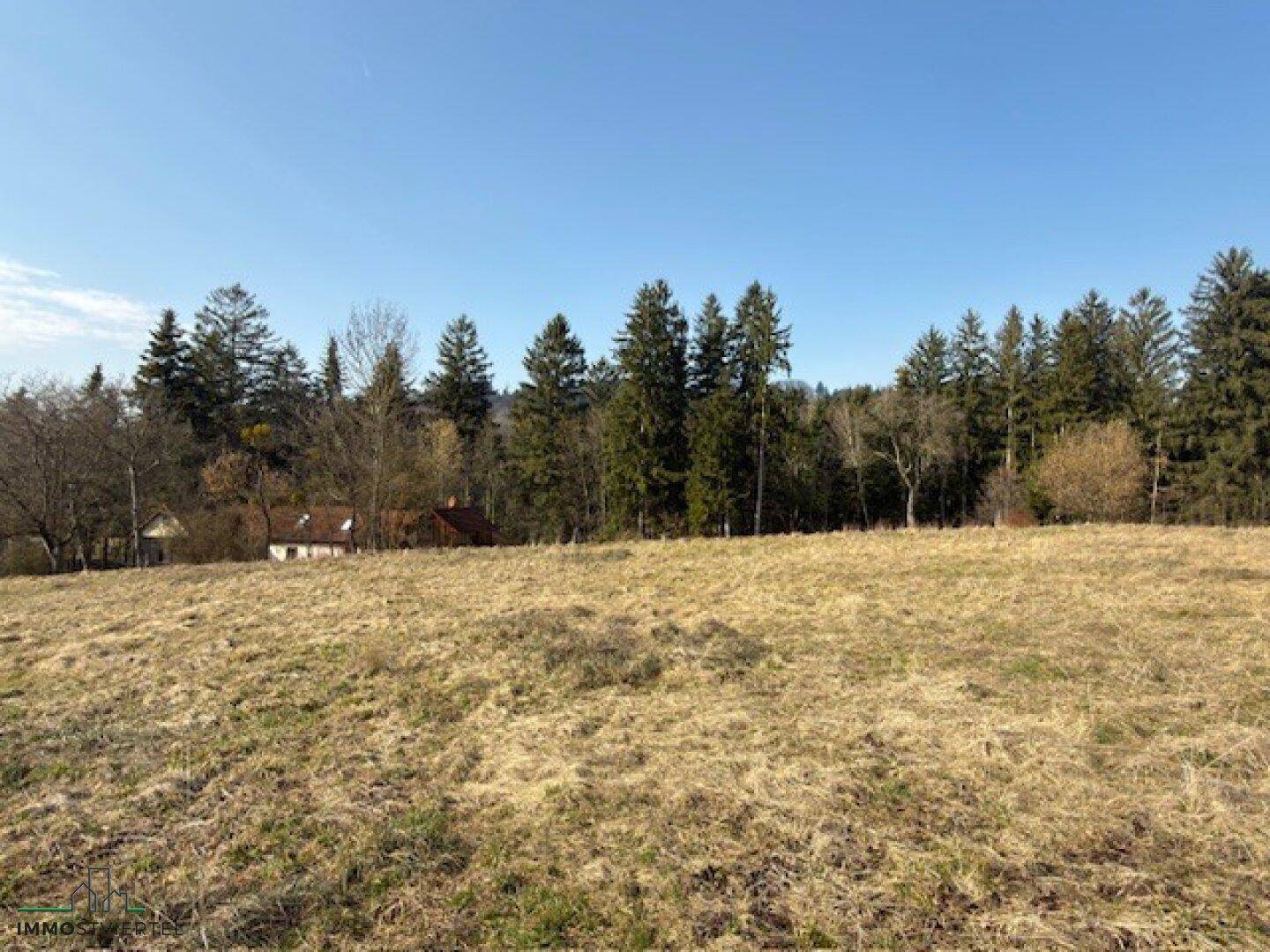 Sonnige Landschaft mit weiten Feldern und einer Baumreihe im Hintergrund unter klarem blauem Himmel.