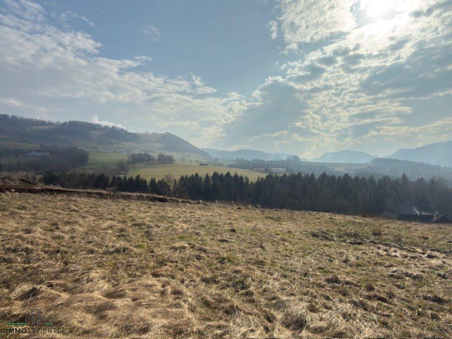 Panoramablick über weite Felder und Wälder mit sanften Hügeln in der Ferne unter einem sonnigen Himmel.