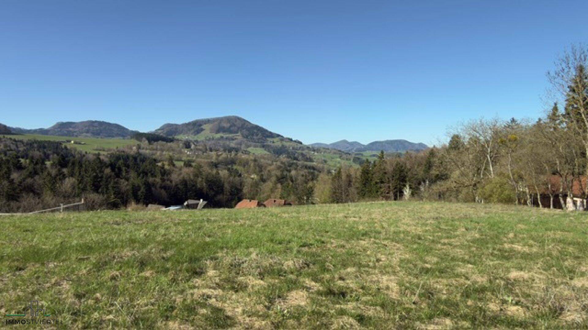 Panoramablick über ein grünes Feld mit sanften Hügeln und bewaldeten Bergen im Hintergrund unter blauem Himmel.