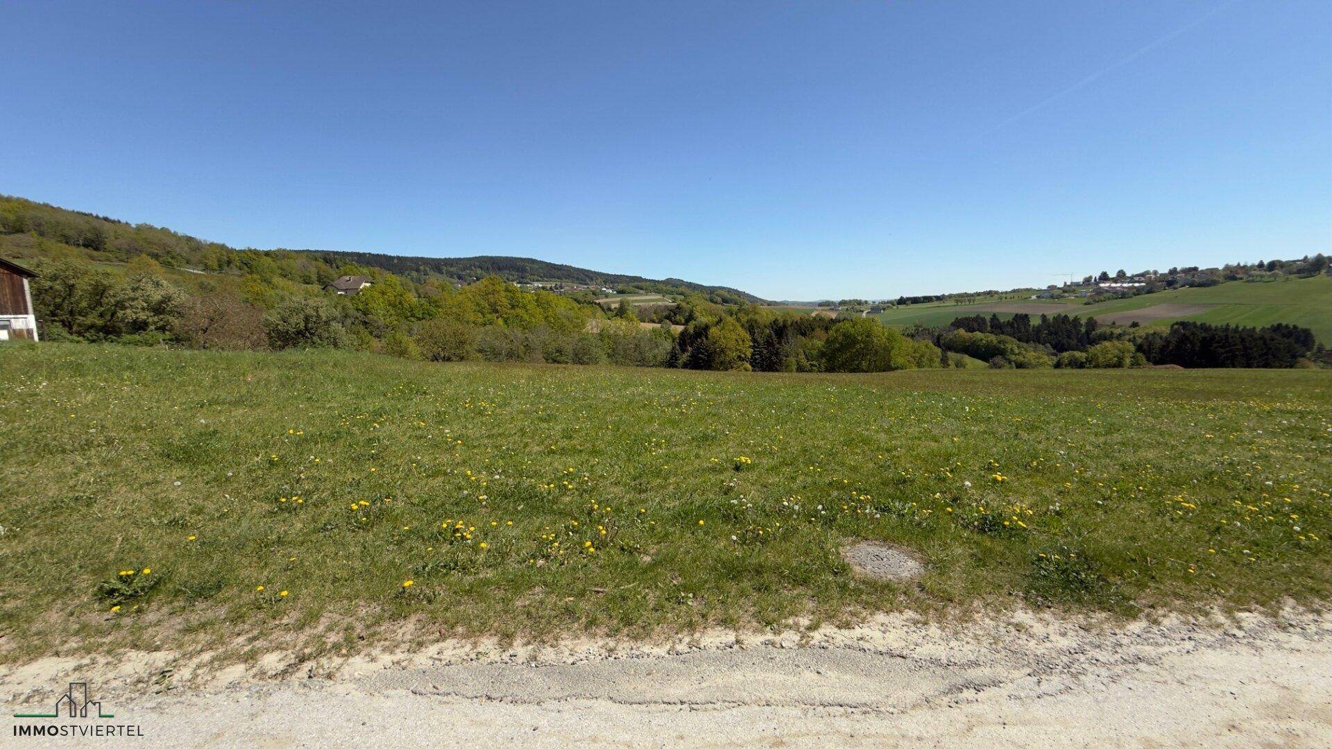 Eine grüne Wiese mit einem Feldweg führt zu einer malerischen Landschaft aus Hügeln und Wäldern.