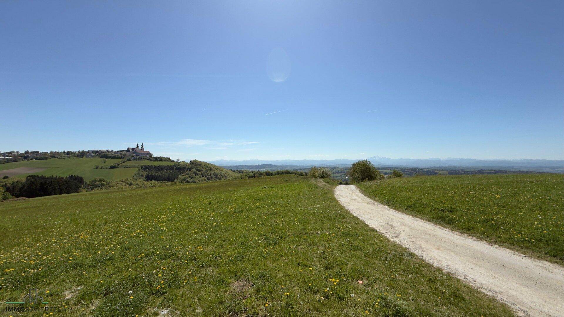 Ein Feldweg schlängelt sich durch eine grüne Wiese mit Blick auf ein Dorf und eine Kirche in der Ferne.