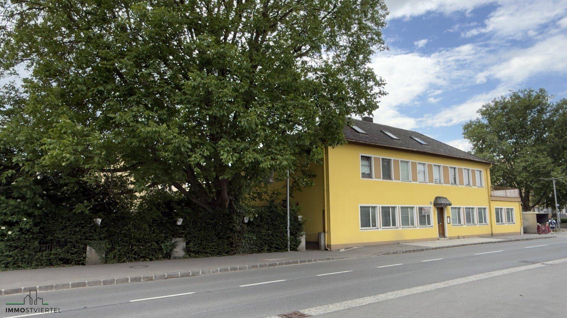 Gelbes Gebäude mit großen Fenstern und einem großen Baum davor, direkt an einer Straße gelegen.