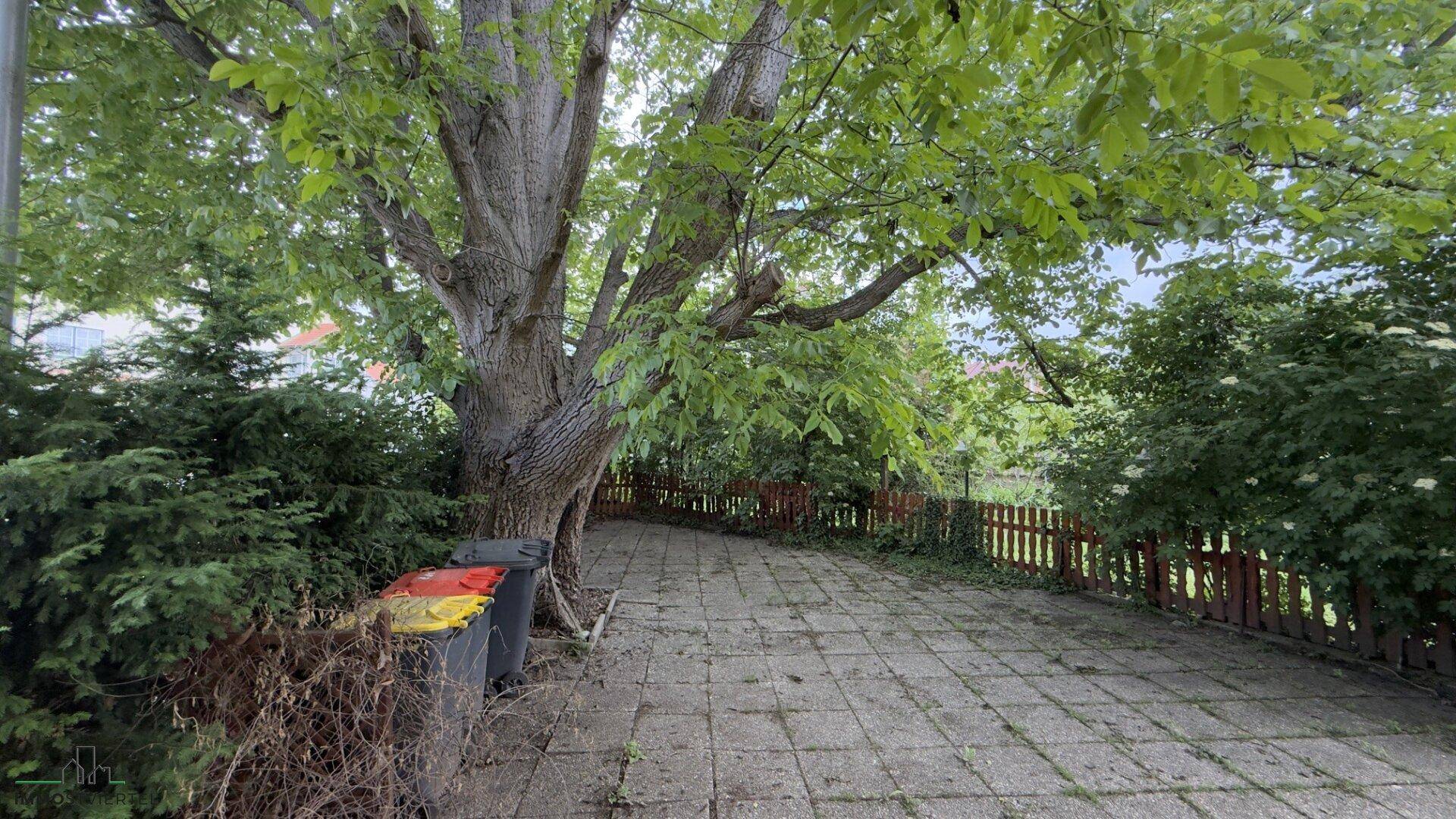 Gepflasterter Weg im Gartenbereich unter einem großen Baum, umgeben von Grünflächen.
