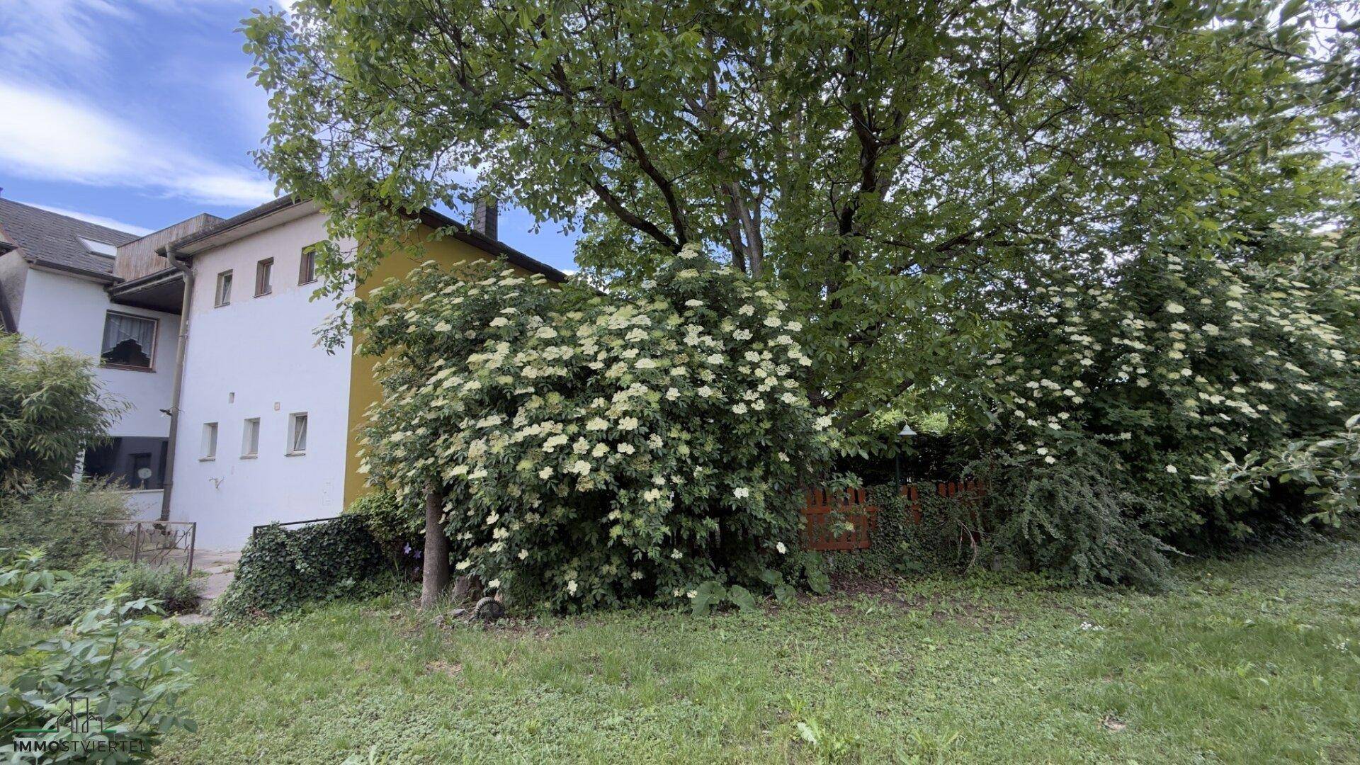 Seitenansicht des Gebäudes mit üppigem Grün, blühenden Sträuchern und einem großen Baum im Garten.