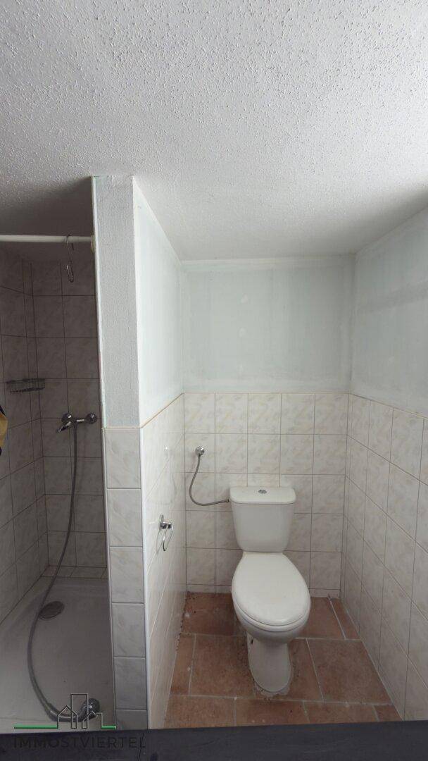 Kleines Badezimmer im Untergeschoss mit Dusche und WC, gefliesten Wänden.