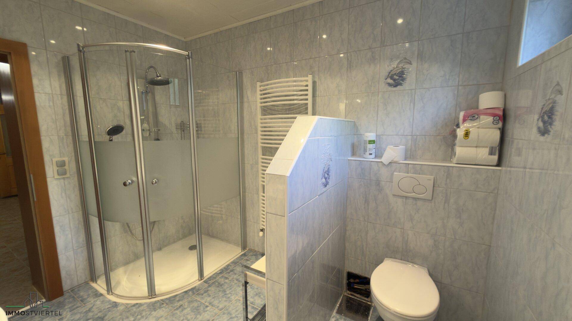 Gefliestes Badezimmer mit Duschkabine, WC und Handtuchheizkörper in hellblauen Tönen.