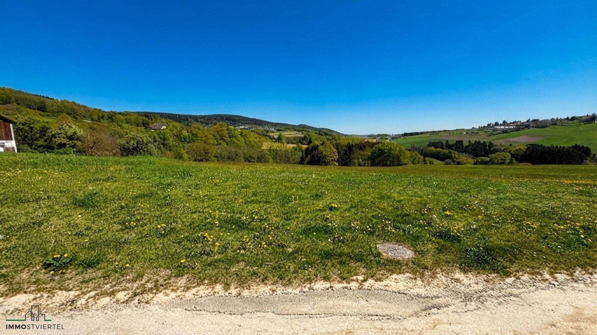 Blick über ein grünes Feld mit sanften Hügeln und Wäldern im Hintergrund unter strahlend blauem Himmel.