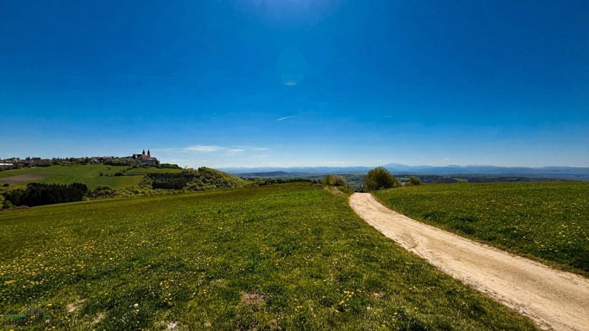 Grüne Hügellandschaft mit einem Feldweg im Vordergrund und einem Dorf in der Ferne unter blauem Himmel.