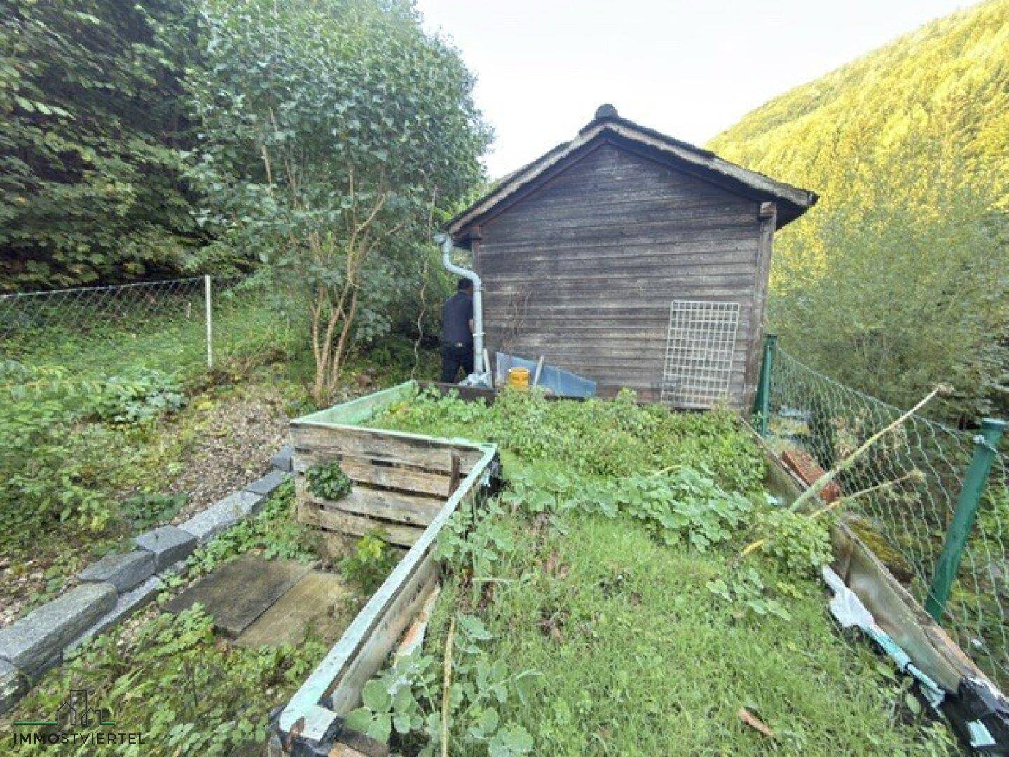 Kleiner Holzschuppen im naturnahen Garten mit Hochbeeten und viel Grün.