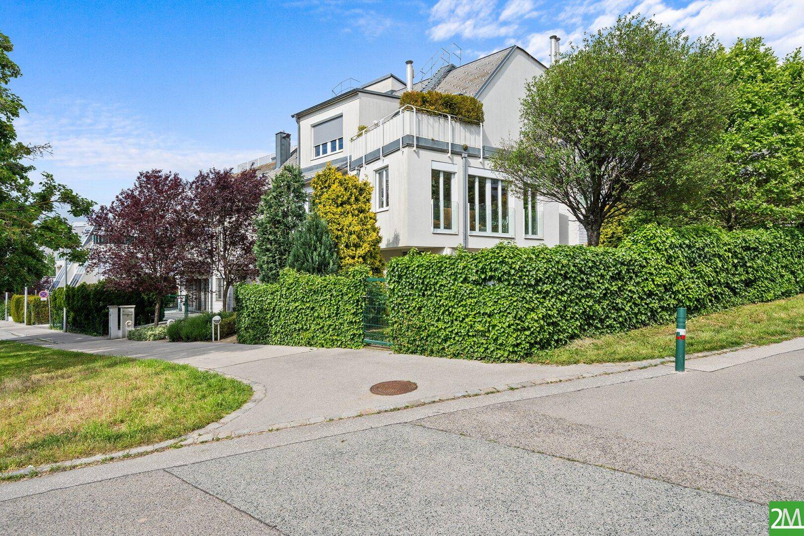 Ansicht des modernen Hauses von der Straße mit gepflegter Hecke und Zufahrt.