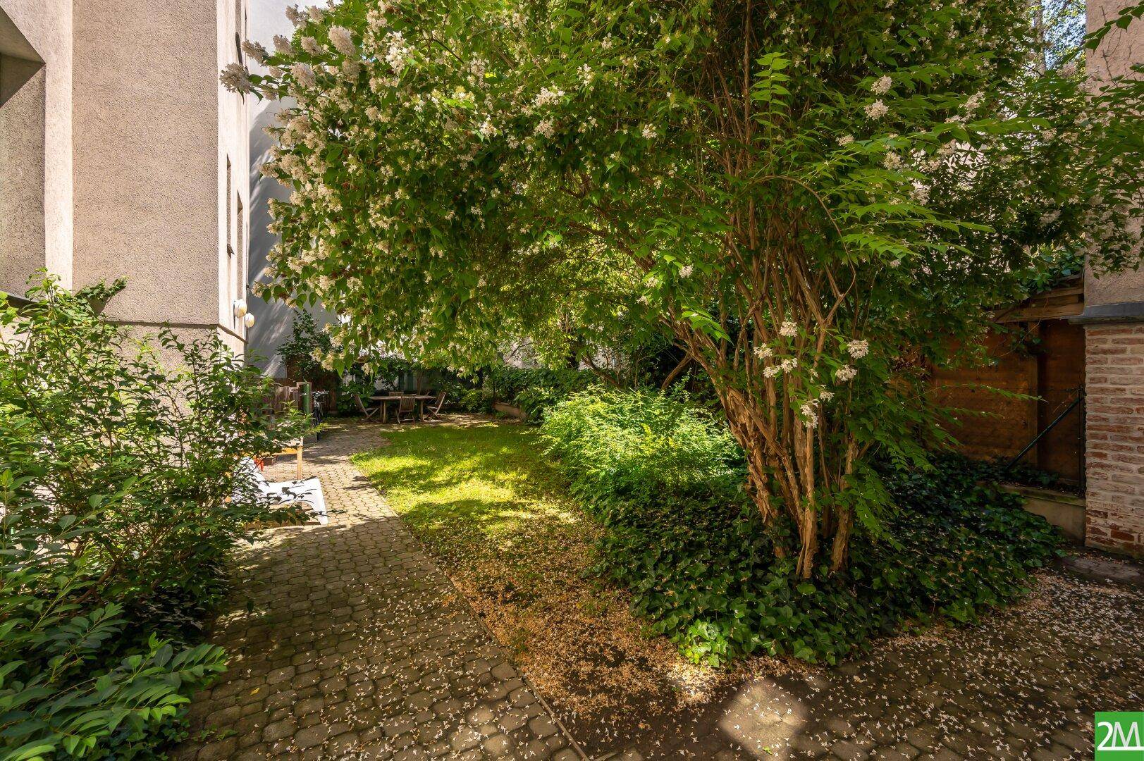 Idyllischer Gartenbereich mit altem Baum, gepflastertem Weg und sonnigen Grünflächen.