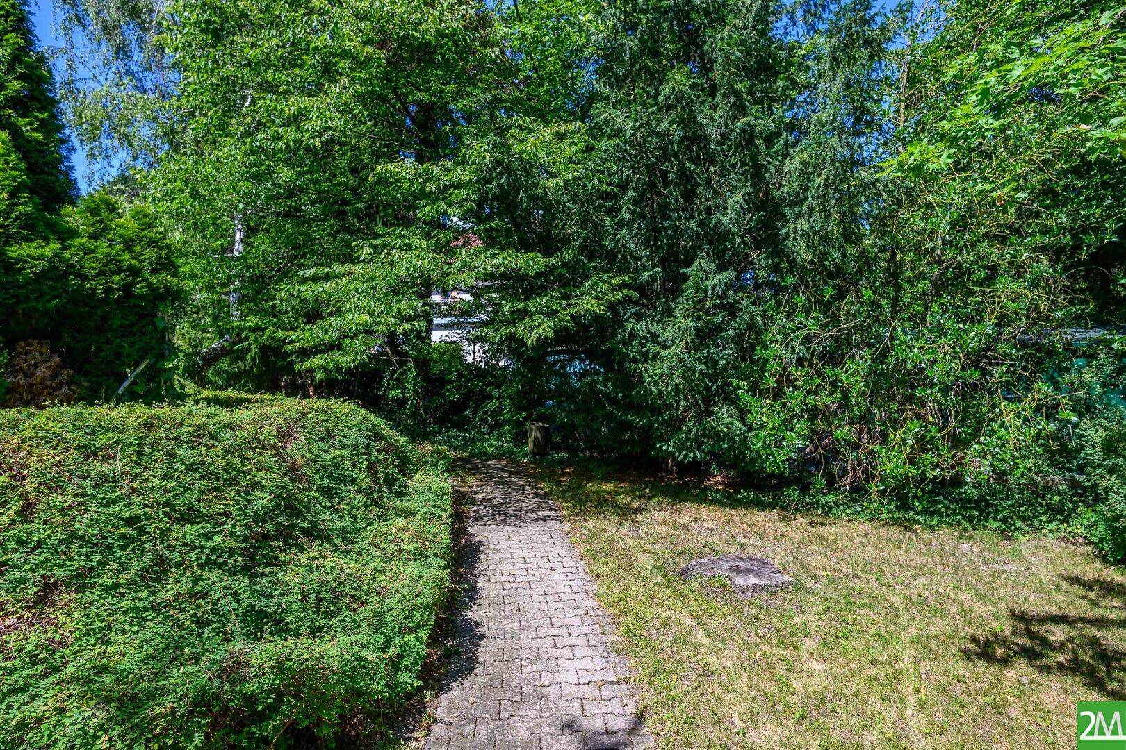 Gepflasterter Gartenweg umgeben von üppigem Grün und hohen Bäumen.