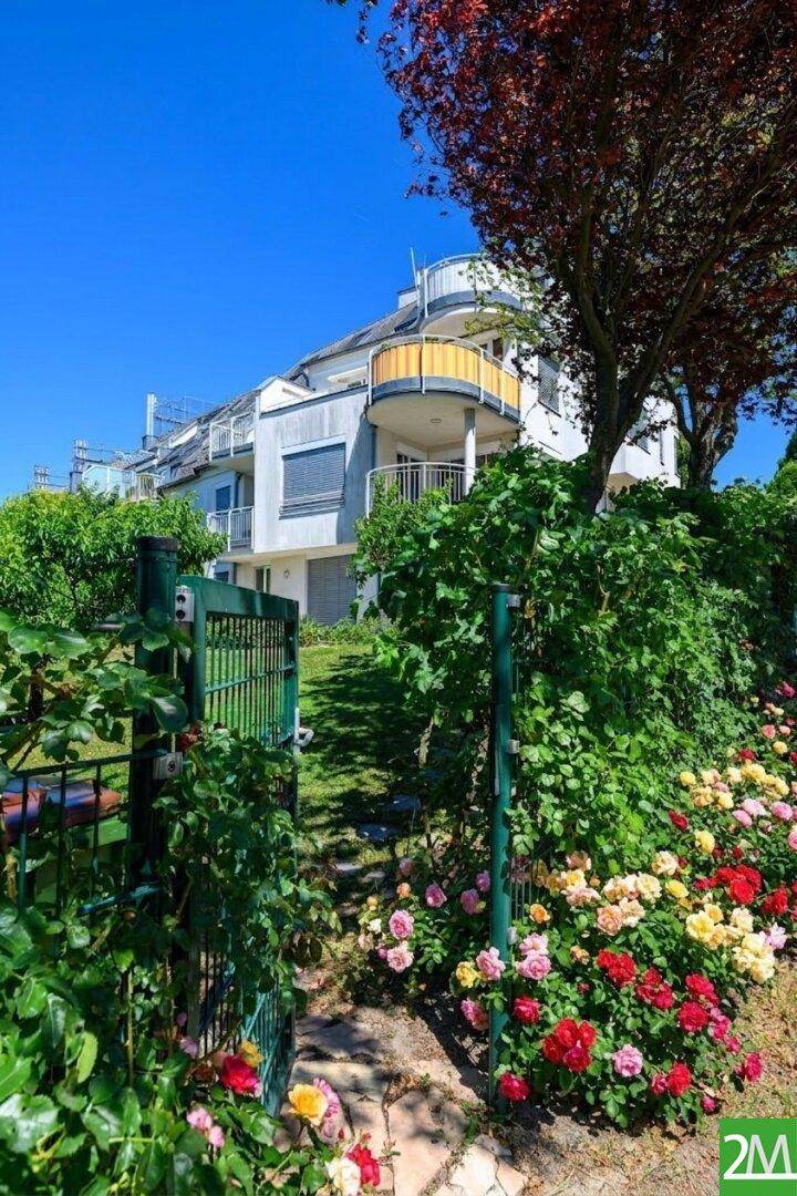 Eingang zum Gartenbereich mit blühenden Rosen und Blick auf die moderne Wohnanlage.