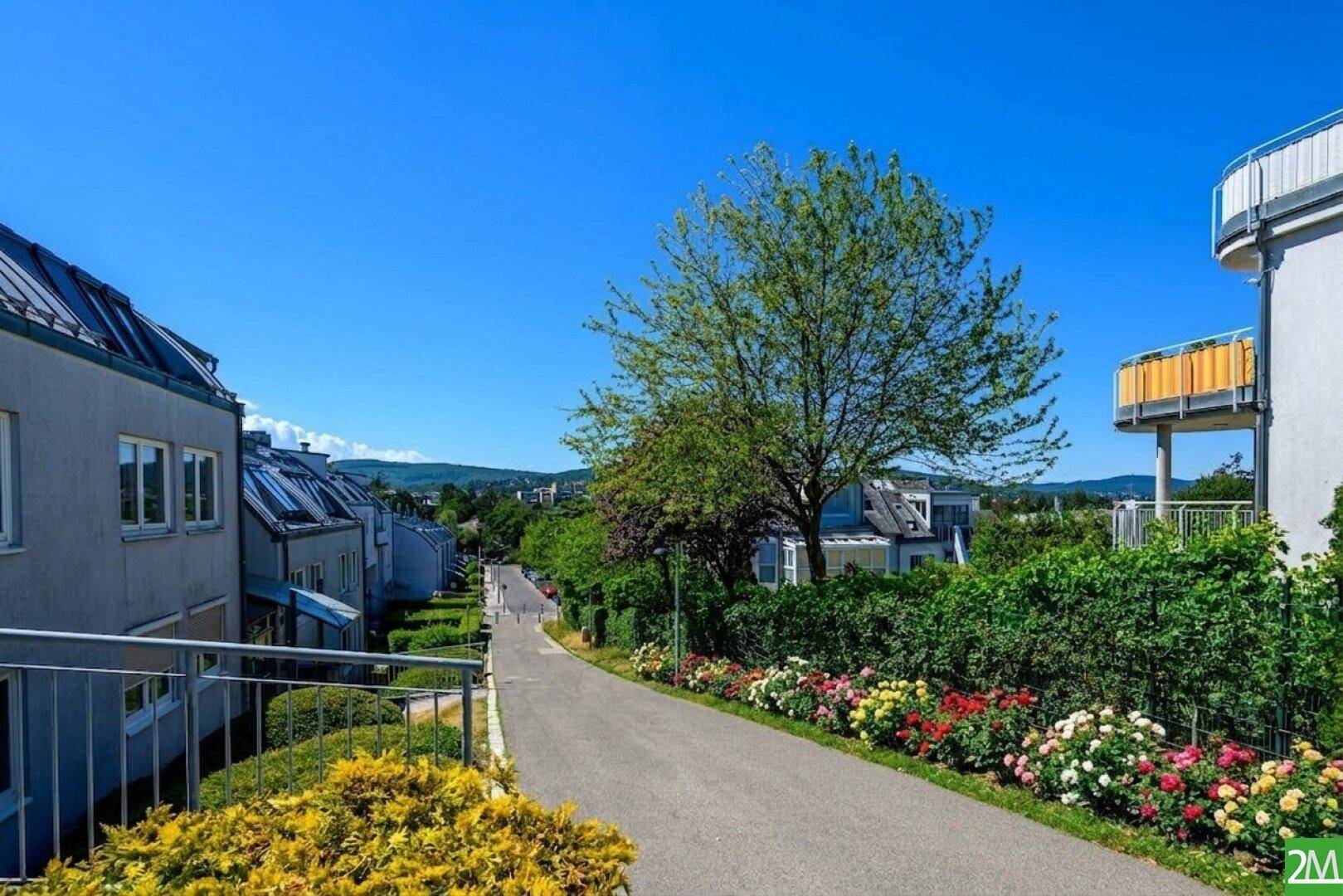 Ruhige Wohnstraße mit Bäumen und gepflegten Gärten, umgeben von modernen Gebäuden.