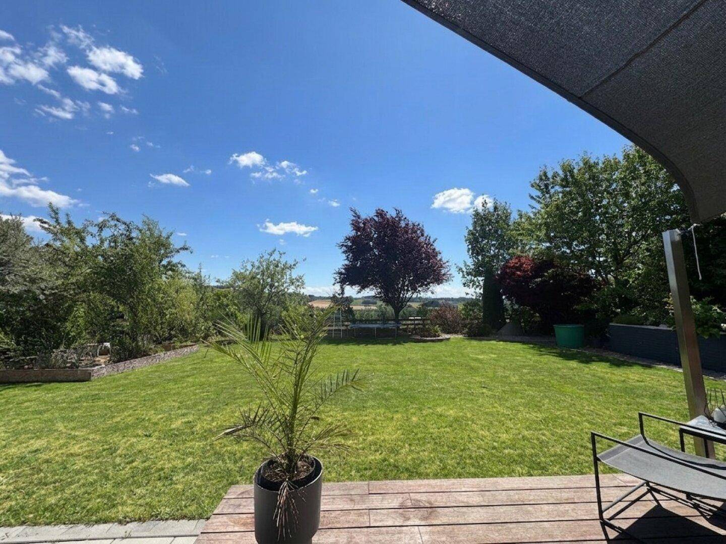 Blick von der Terrasse über den grünen Garten und die weite Landschaft mit einer Palme im Vordergrund.