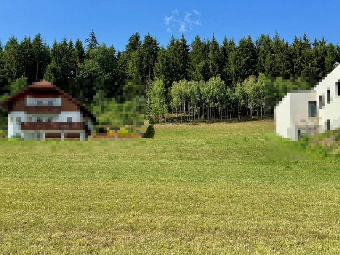 Grüne Wiese mit Blick auf traditionelle und moderne Gebäude, umgeben von dichten Wäldern.