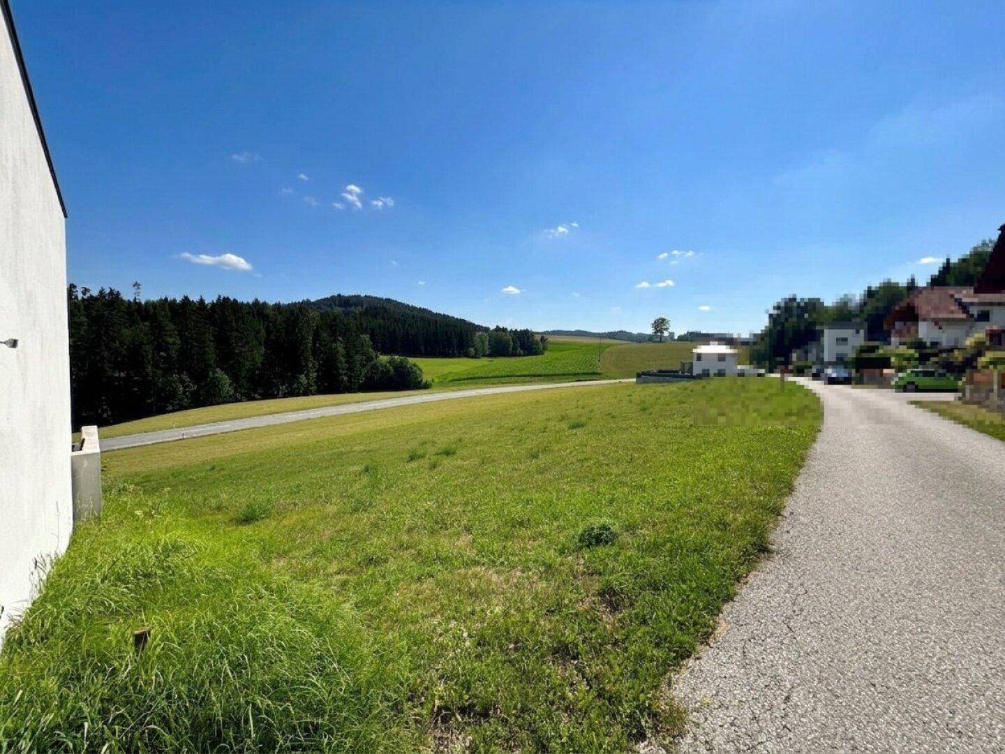 Ländliche Umgebung mit grünen Wiesen, Wäldern und einer Zufahrtsstraße unter blauem Himmel.