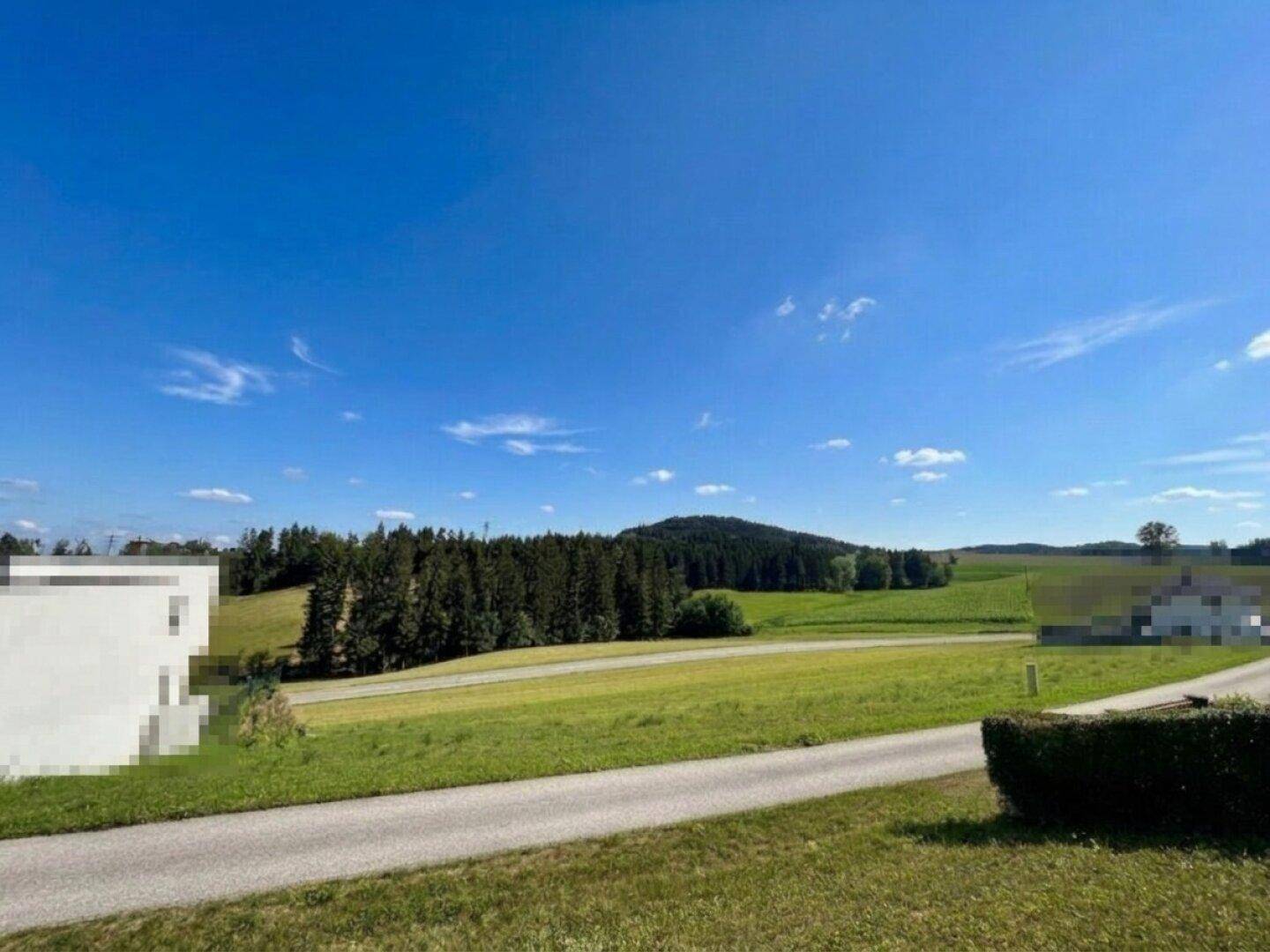 Weitläufige grüne Landschaft mit Wäldern und Hügeln, durchzogen von einer Landstraße unter klarem Himmel.