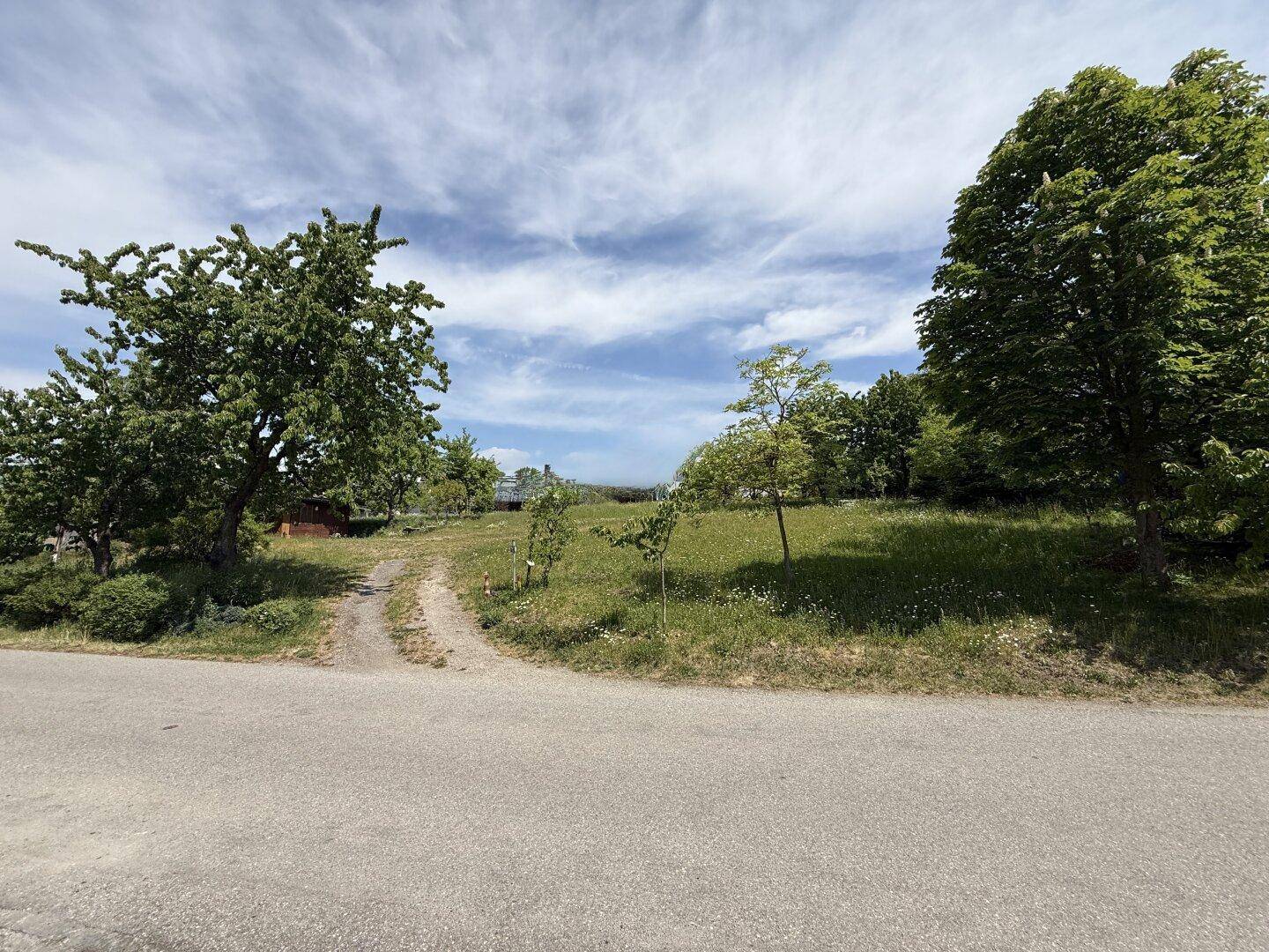 Feldweg führt durch eine grüne Wiese mit Bäumen und Häusern in der Ferne.