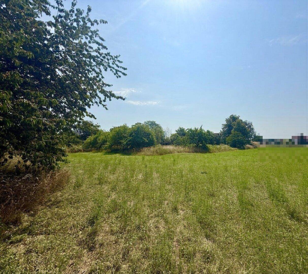 PROJEKTENTWICKLUNG / INVESTOREN-HIT: 9.800 m² Bestlage in Marchtrenk - Ansicht 3