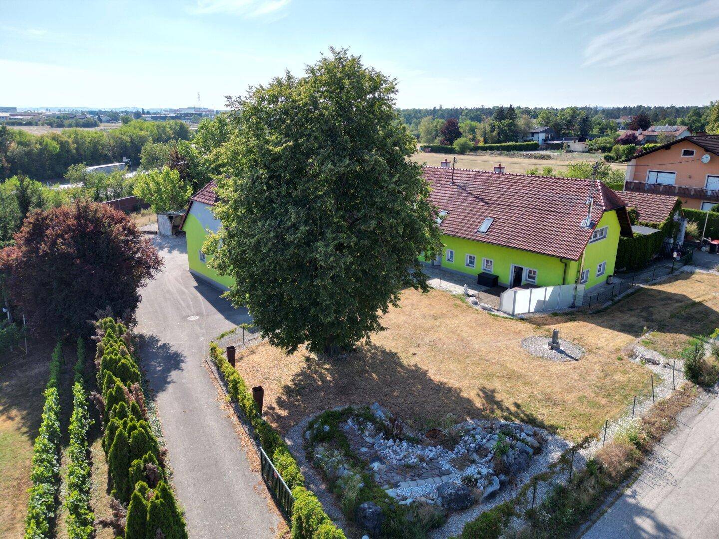 Luftaufnahme des Gebäudes mit großem Baum, Steingarten und Hecke entlang der Zufahrt.