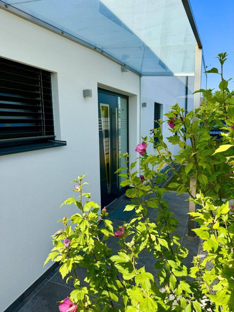 Eingangsbereich des modernen Hauses mit Glasvordach und blühenden Sträuchern, die einladend wirken.