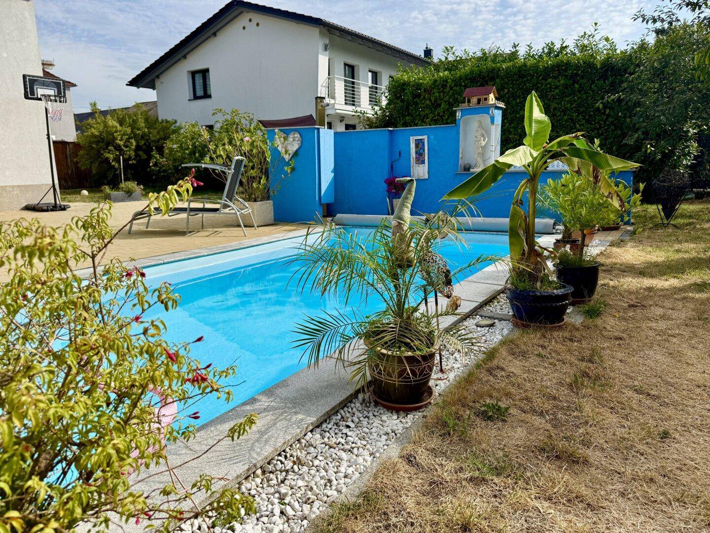 Blauer Swimmingpool im Gartenbereich mit Pflanzen und einer blauen Wand als Akzent.