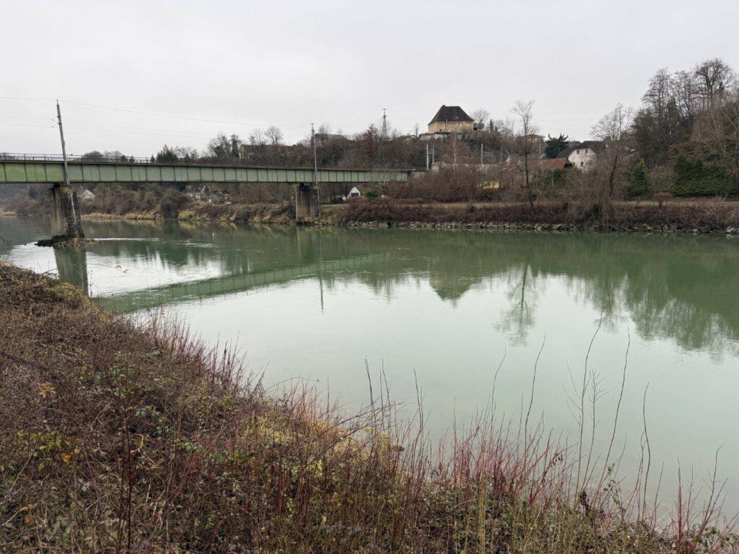 Flusslandschaft mit einer Eisenbahnbrücke im Hintergrund und üppiger Vegetation am Ufer.