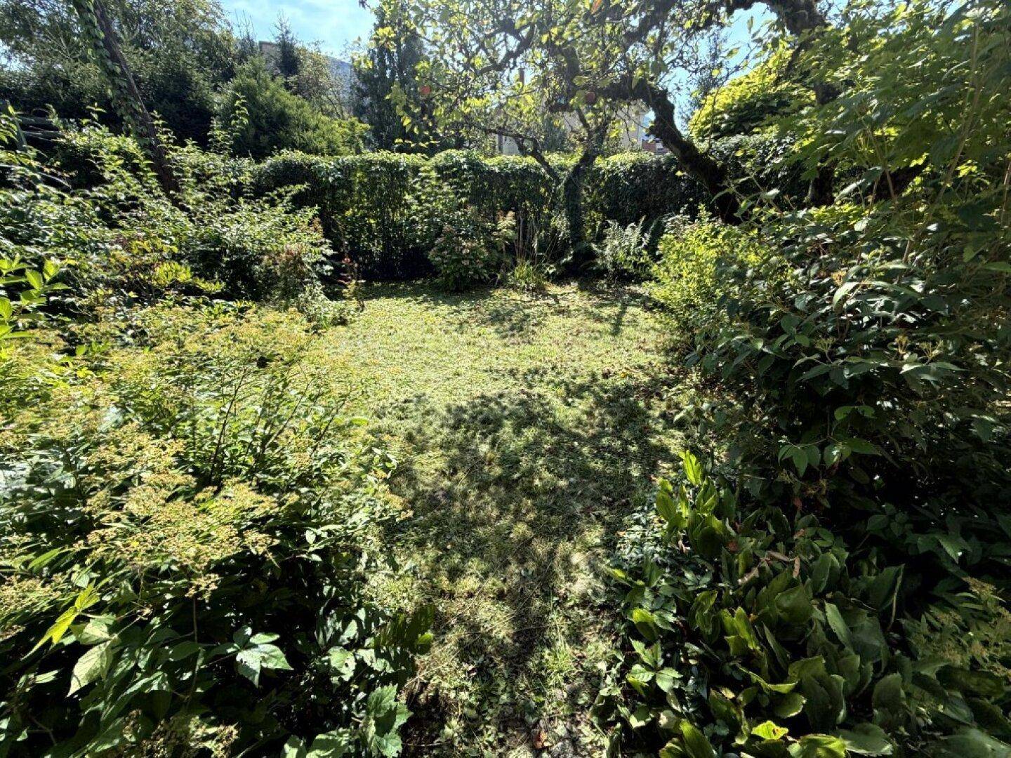Üppiger grüner Gartenbereich mit gemähtem Rasen in der Mitte, umgeben von dichten Büschen und Bäumen.