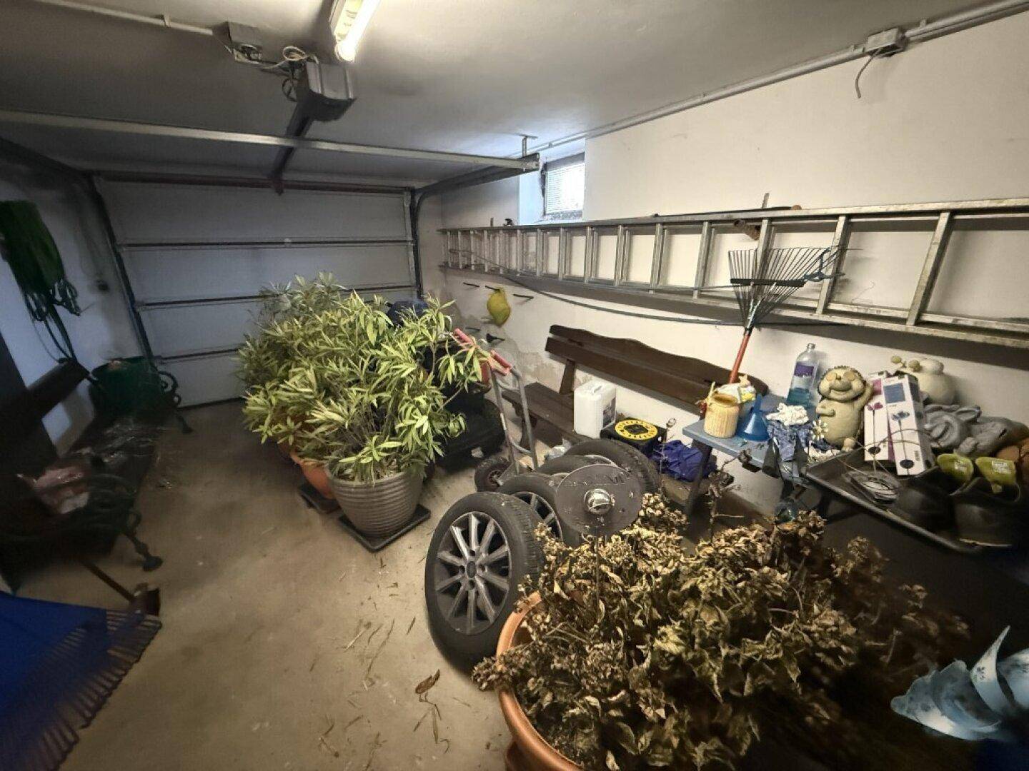 KG_Garage