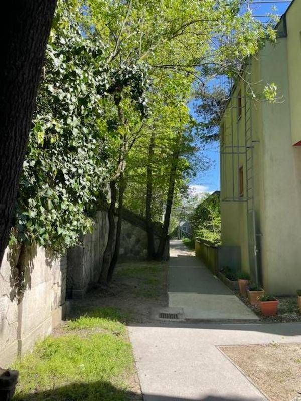 Grüner Weg zwischen Gebäuden mit Bäumen und Pflanzen an sonnigem Tag.