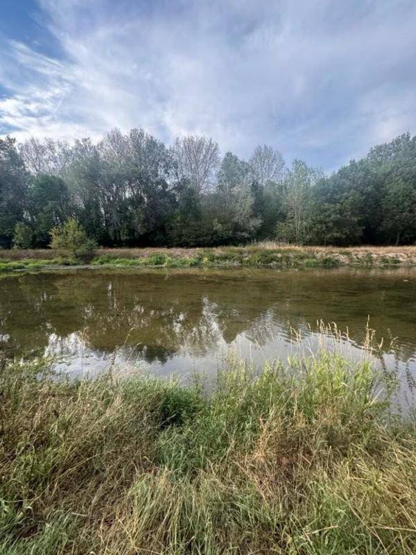 Ein ruhiger Fluss oder Teich mit hohem Gras im Vordergrund und Bäumen am gegenüberliegenden Ufer.