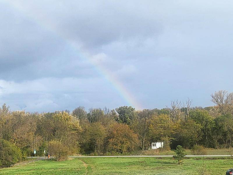 Weitläufige Landschaft mit Bäumen, Wiesen und einem Regenbogen am Himmel.