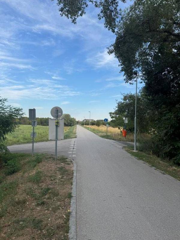 Asphaltierter Weg durch eine ländliche Gegend mit Bäumen und Feldern.