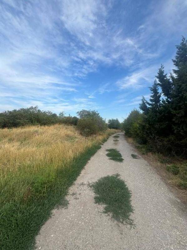 Schotterweg durch eine grüne Landschaft mit Bäumen und blauem Himmel.