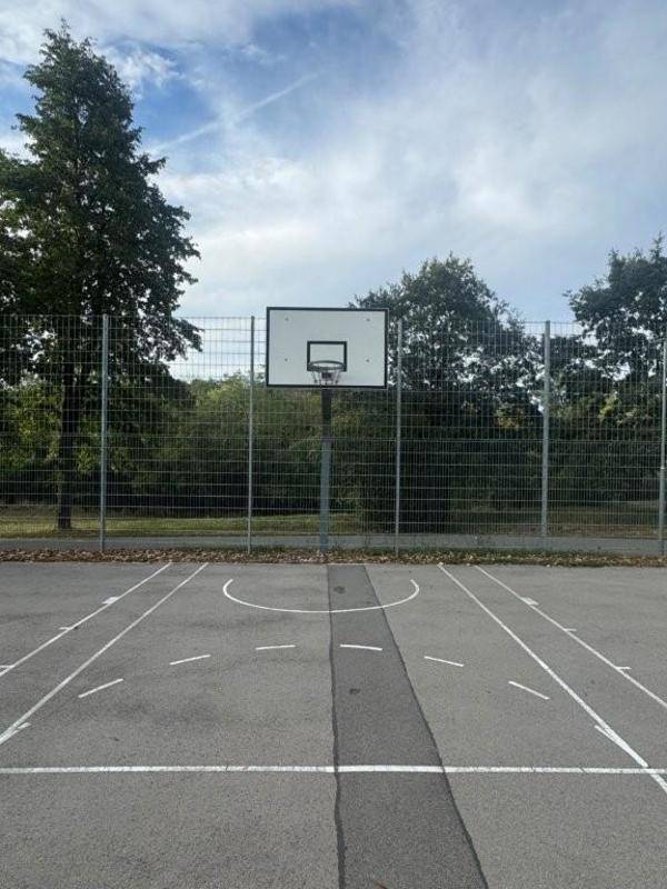 Basketballplatz im Freien mit Korb und Zaun, umgeben von Bäumen.