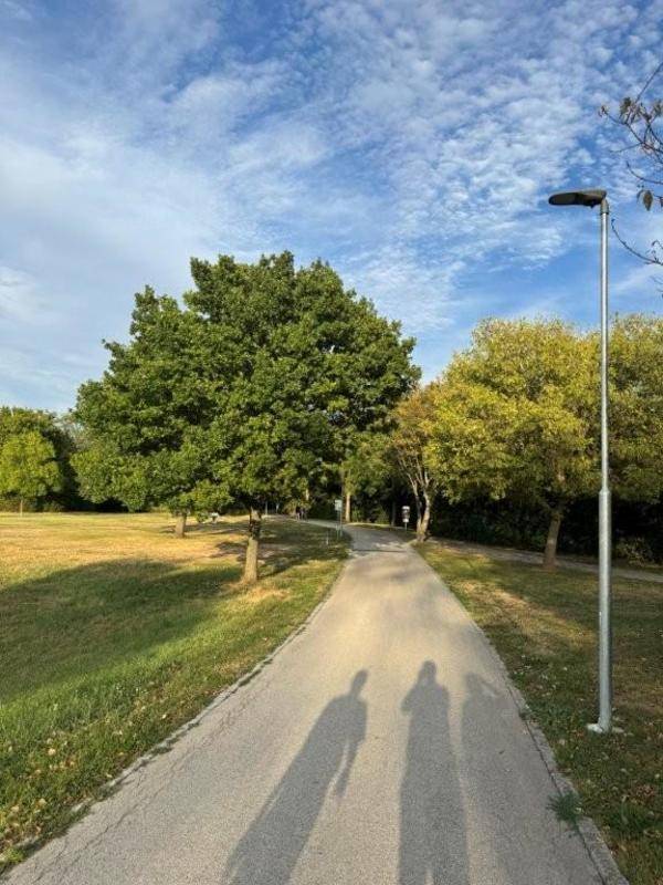 Ein gepflasterter Weg führt durch eine grüne Parklandschaft mit Bäumen unter einem weiten Himmel.