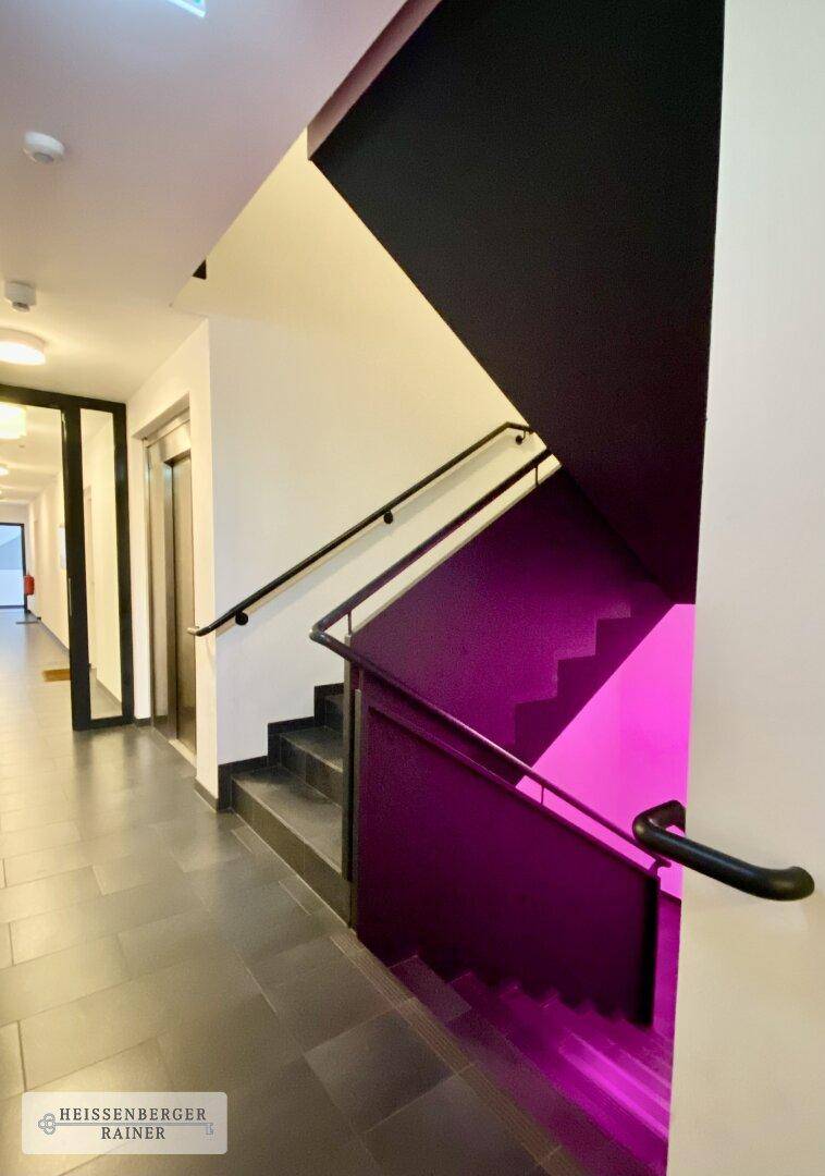Treppenhaus in einem Gemeinschaftsbereich mit moderner Beleuchtung und dunklen Stufen.