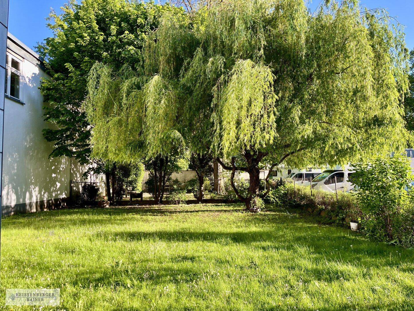 Grüner Gartenbereich mit einem großen Weidenbaum und gepflegtem Rasen an einem sonnigen Tag.