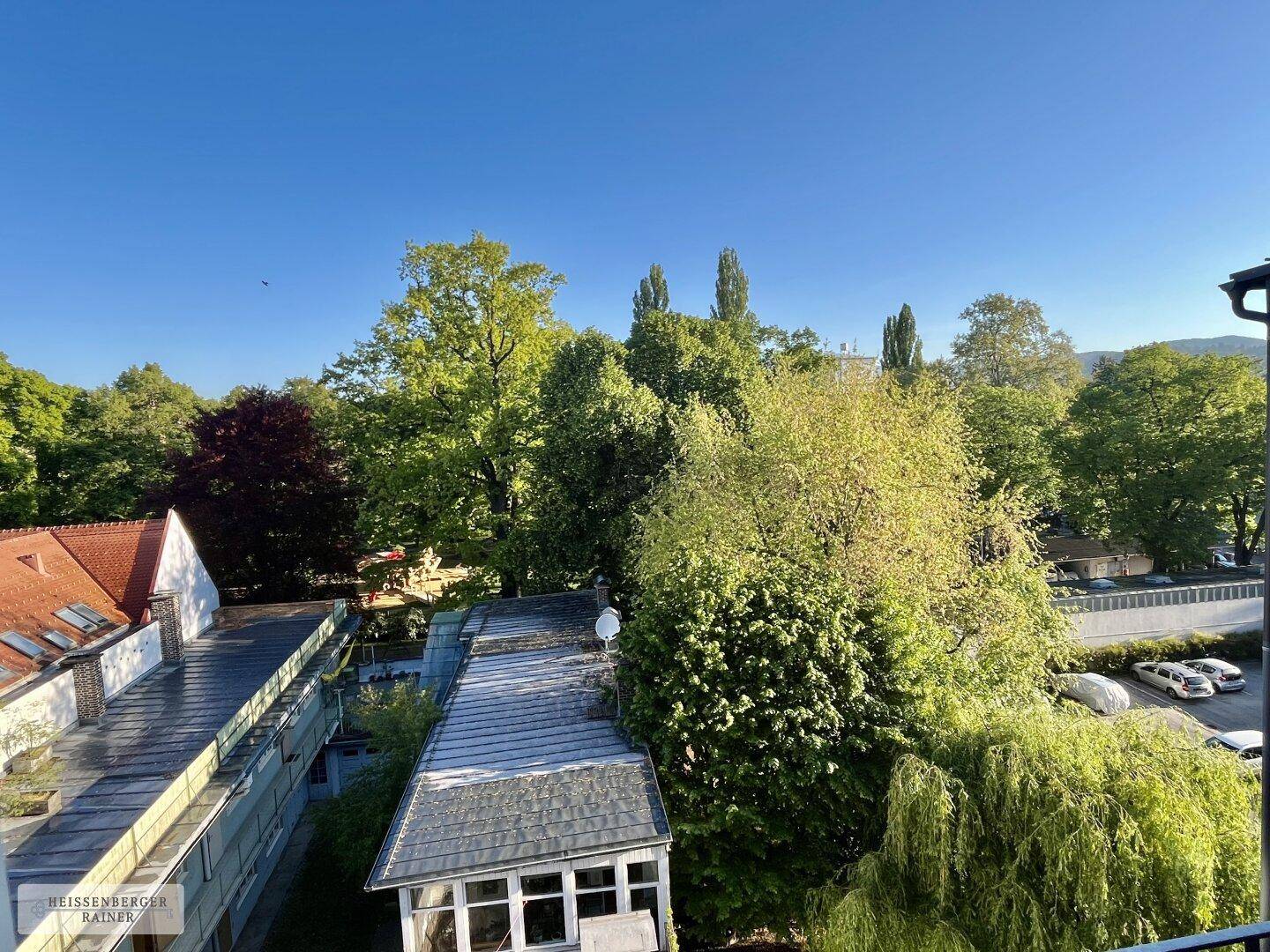 Panoramablick ins Grüne mit üppigen Bäumen, Dächern und einer Bergkulisse.