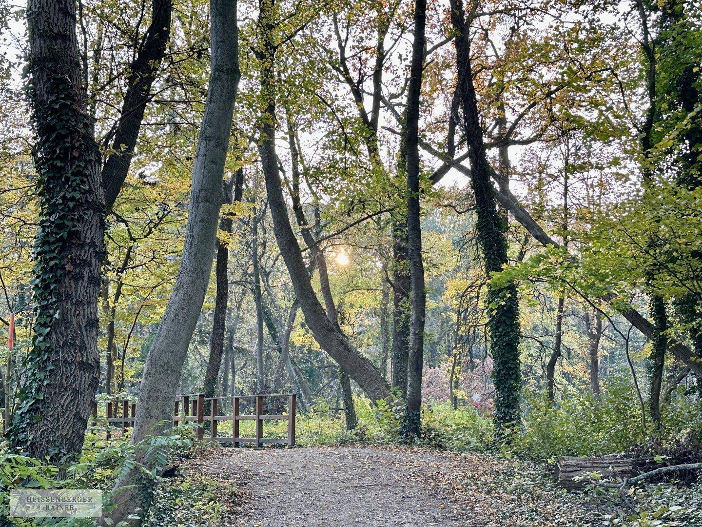 TOLLE GRÖSSE UND BEBAUBARKEIT /// Baugrundstück mit perfekter Infrastruktur nahe Schlosspark - Ansicht 4