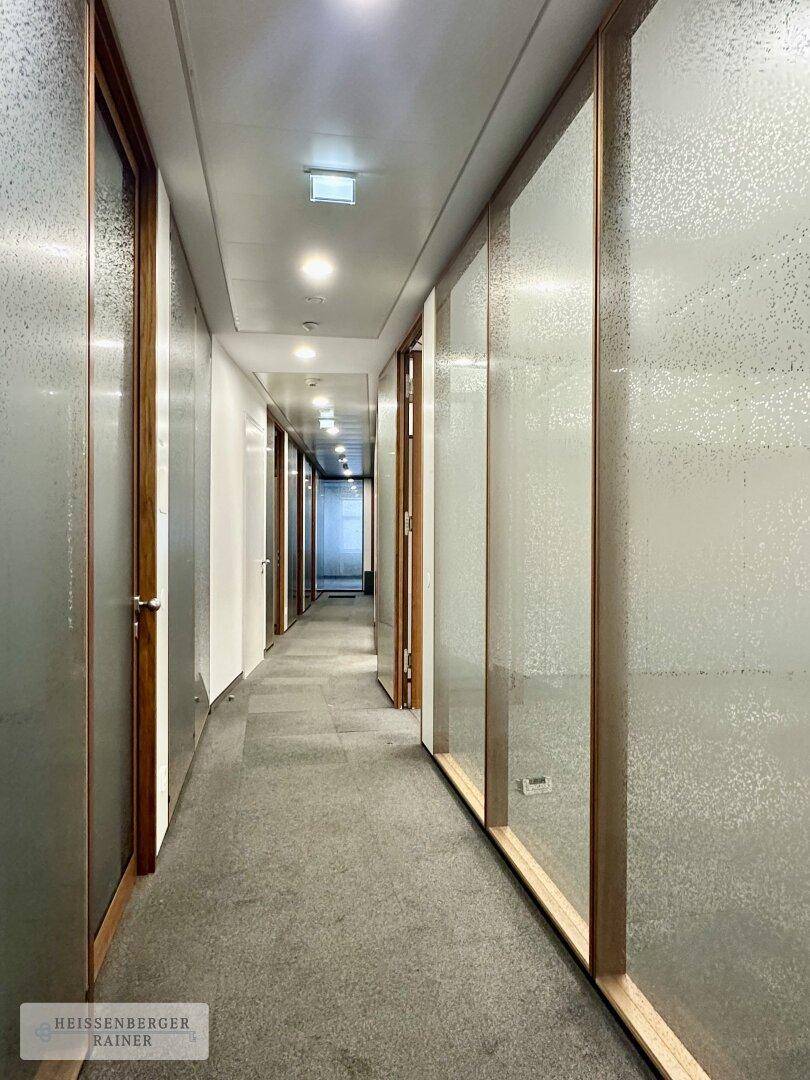 Langer Flur mit Teppichboden, Glaswänden zu Büros und moderner Deckenbeleuchtung.