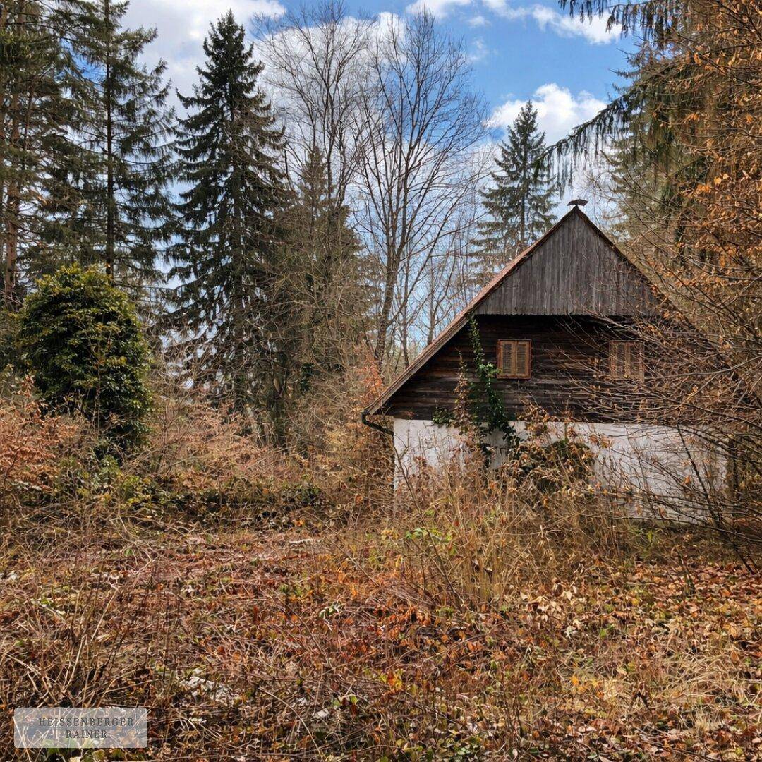 Rustikales Holzhaus mit Satteldach, umgeben von Bäumen und dichter Vegetation in ländlicher Lage.